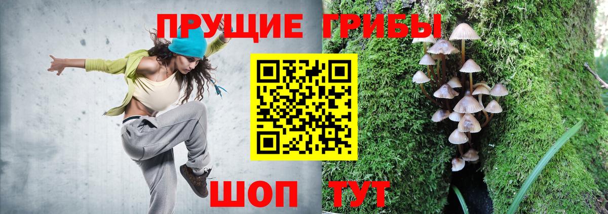 Галлюциногенные грибы Psilocybine cubensis  Вход с VPN  Оренбург  Галлюциногенные грибы MAGIC MUSHROOMS 
